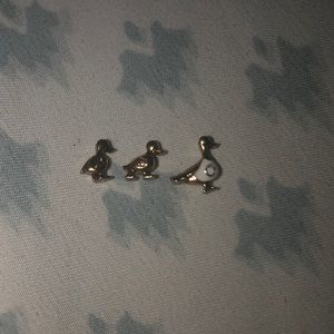 Family ducks charms